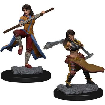 Neca D&D Nolzurs Marvelous Unpainted Miniatures Wave 1 Human Female Monk