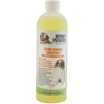 Nature's Specialties Citrus Shampoo Concentrate 450ml