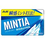 Asahi Mintia Sugar Free Fresh Cool Mints 50 Capsules