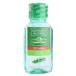 Green Cross Alcohol With Moiturizer 60ml