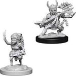 WizKids NECA Nolzurs Marvelous Unpainted Miniatures Wave 6 Female Halfing Fighter
