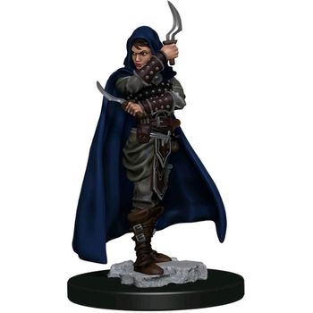 Wizards of the Coast Female Human Rogue W1 - Pathfinder Battles Premium