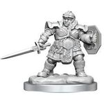 Dungeons & Dragons W16 Dwarf Fighter