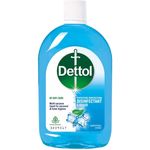 Dettol Liquid Disinfectant for Personal Hygiene 500ml