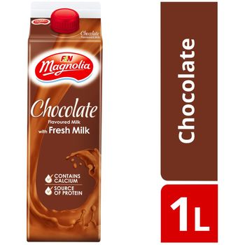 F&N Magnolia Fresh Milk Chocolate