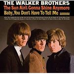 Sun Ain't Gonna Shine Anymore