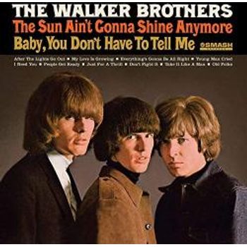 Sun Ain't Gonna Shine Anymore