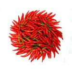 Fresh Red Chilli Padi