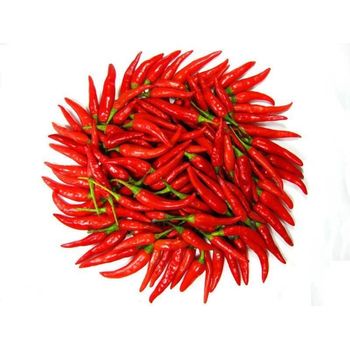Fresh Red Chilli Padi