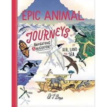 Cicada Books Epic Animal Journeys Navigation And Migration By Air Land And Sea