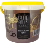 Blue Hills Blackberry Raw Honey 