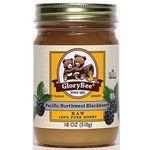 GloryBee Raw Pacific Northwest Blackberry Blossom Honey 510g