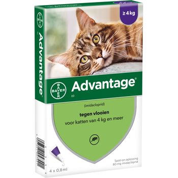Bayer Advantage Cat 4x0.8ml