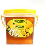 Polleney Pure Honey 1kg