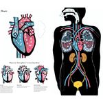 Thames & Hudson Inside the Body