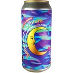 Elmeleven Remember Our Future Sour 440ml