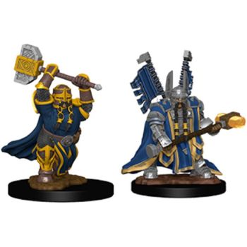 Wizkids Dwarf Paladin Male