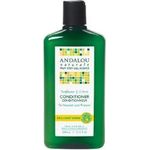 Andalou Naturals Shampoo Shine Snflwr Ctrs