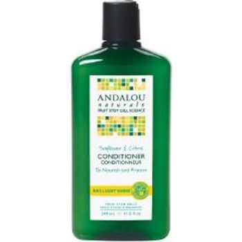 Andalou Naturals Shampoo Shine Snflwr Ctrs