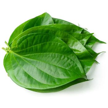 Betel Leaf          