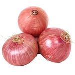 Big Onion Loose - India