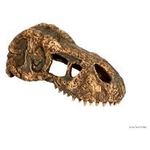 Exo Terra T Rex Skull Small 270g