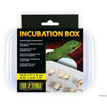 Exo Terra Incubation Box 16.5x11x5cm