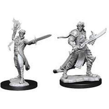 Wizkids Dungeons And Dragons Pathfinder Deep Cuts W11 Male Elf Magus