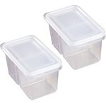2pcs Storage Box Double Grids Transparent Scallion Containers For Kitchen