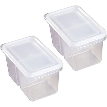 2pcs Storage Box Double Grids Transparent Scallion Containers For Kitchen