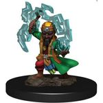 Wizkids Male Gnome Sorcerer (premium)