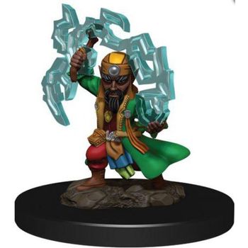 Wizkids Male Gnome Sorcerer (premium)