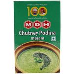 MDH Chutney Podina Masala 100g