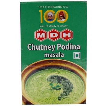 MDH Chutney Podina Masala 100g