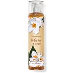 Bath and Body Works White Tea And Ginger Body Mist Spray 236ml