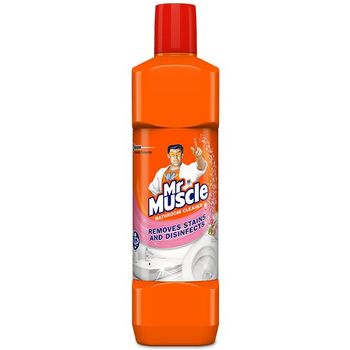 Mr Muscle Bathroom Floral 450ml