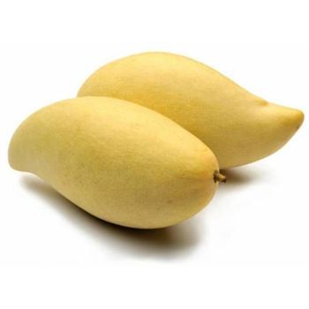 Mango Thailand       