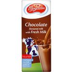 F&N Magnolia Uht Chocolate Full Cream 250ml