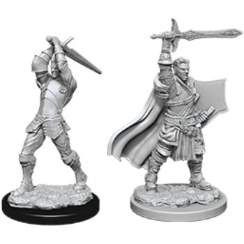 Wizkids Dungeons And Dragons Nolzurs Marvelous Miniatures Male Human Paladin