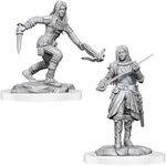 Wizkids Half-Elf Rogues