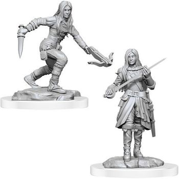 Wizkids Half-Elf Rogues