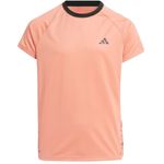 Adidas Girls Golf Graphic Performance Polo Shirt Kids Wonder Clay