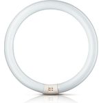 Philips lighting TL E Circular Standard Colours