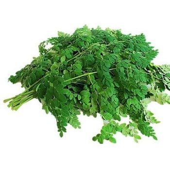 Drumstick Leaves Approx 100gm