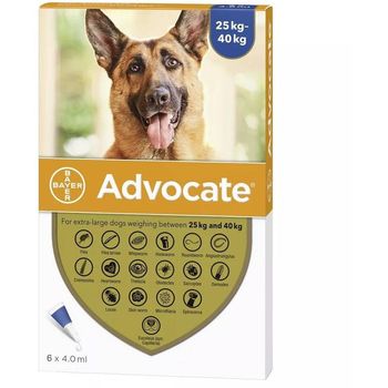 Advocate Flea & Heartworm Spot-on For Dogs XL (25kg-40kg) 6 tube