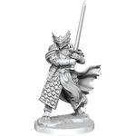 Wizkids D&D Frameworks: Dragonborn Paladin