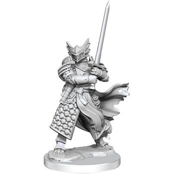 Dungeons & Dragons Frameworks Dragonborn Paladin