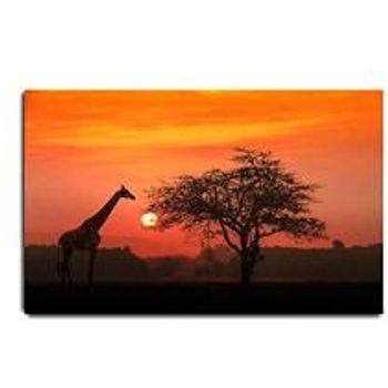 Viubgcps Canvas Print Pictures Wall Art Painting African Giraffe At Sunrise Fantastic Stock Pictures Royalty Framed Stretched Posters Ready To Hang Home Decor Artworks 20x32inch
