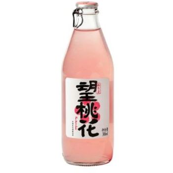 Hope Water Soda Water Peach 2 x 300ml