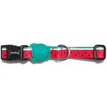 Zee.Dog Lola Collar Small